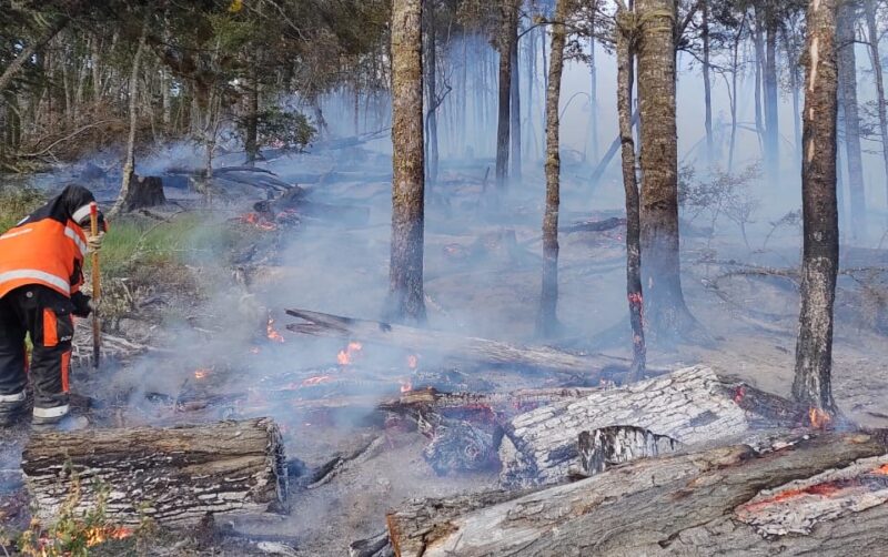 Nuevo incendio en el centro de la Isla – Provincia 23