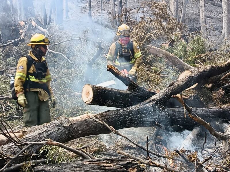 Tierra del Fuego envió brigadistas para combatir el incendio en el ...