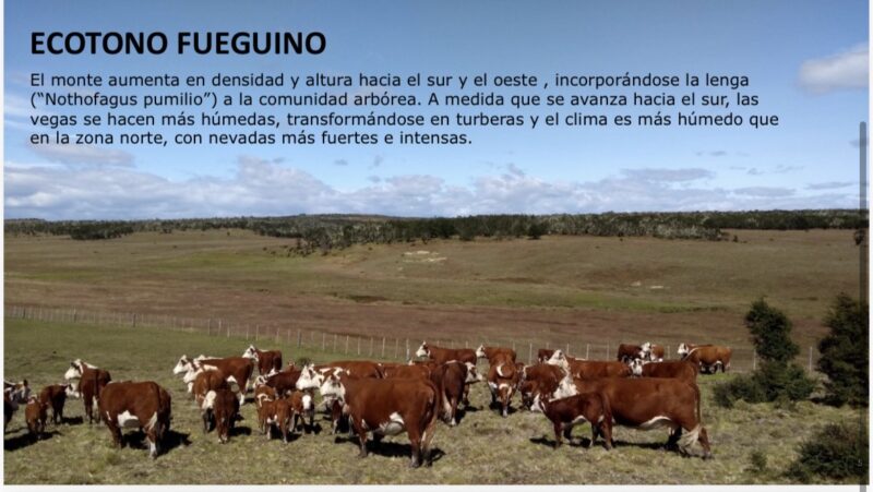 “Lo ideal sería que el puerto lo tengamos en Río Grande”